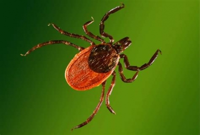 �������������� ����� ������������, ��� ������ ��� ����� �����