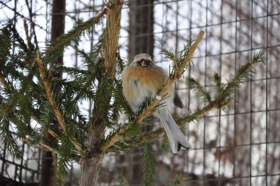 �������� ���: � �������������� �������� ����������