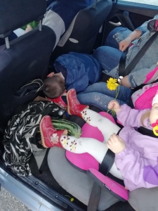 � ������������ ��� � ������������� ����������  ���������������� ����������� ����������� ������