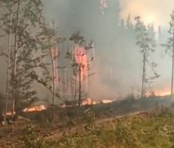 ��������� ����������� ��������� ��������� ����� ��� ��������������