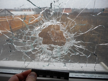 ������������ � ������������� �������� �������������, ���������� �� ����� ������ ����