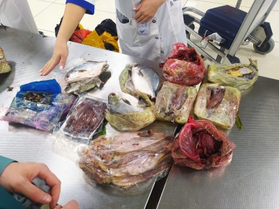 Улитки и экзотическая рыба из Вьетнама таможню не прошли