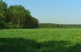 В городском округе Первоуральск в 2012 году бесплатно предполагают выделить 65 земельных участков