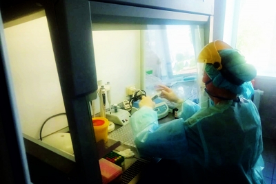 ����� �� COVID-19 ��� ������ � ����������� �������������� ��������