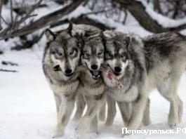 � ������������ ���� ���� ������ ���������� 10-������� ��������