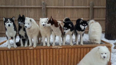 � ����� � �������������, � ������������� �����-���� ������ ����� ��������.