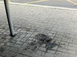 �� �������� ���������� ��������� ������ ����