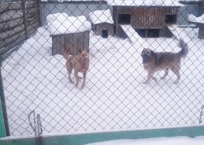 ����������� ����� ����� ��������� � �������������� �������� ������ ��������