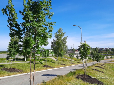 ����� � ��� �������� ����