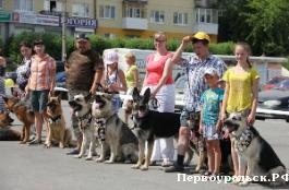 В Первоуральске прошло Дог-Шоу от клуба служебного собаководства имени Бориса Рябинина.