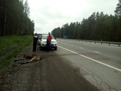 �� ������ ��� �������������� ��������� ��� � �����