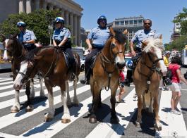 ���� ������������� ���. ��� �������� ������� �������� ������ � ������������ �������