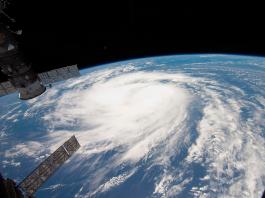 �� ������ ���������� "����": ������ ���� ��������, ������� ����� ��� ����� � ������� ������