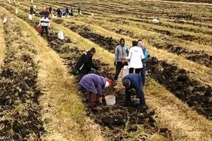 40 ����������-���������� ��-66 � �������������� ������ �������� ������, ������� �� ���������� �� ������ � �������� �� ��������� ������