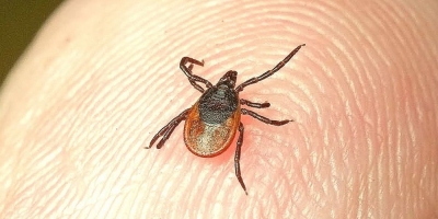 ����� �������� ��� ������ 300 ������� ���������� ������