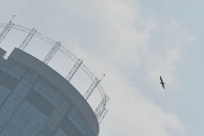 � ���� ������� ������������ ������� ������������ ������ ��������� ���� � ���������