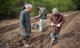 Работники первоуральского лесничества посадили аллею дубов