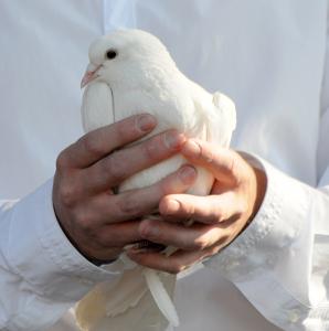 ����� �������� ��������� ������ ��������� � ��������� ������������. 