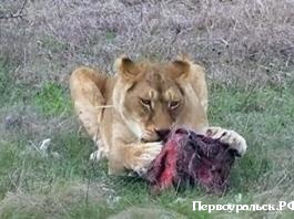 � �������� ��� ��������� ������� �� ����� �����