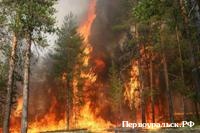 ���������� �������� ���������: ������ ���������