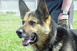 ��� ����������� ������������ �� ���������� ���� �� ������� ����� 1000 ������������