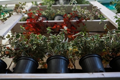 � ������������� ����� ������ �������, ����������� ��������� ������� ���� ������� ����� �������