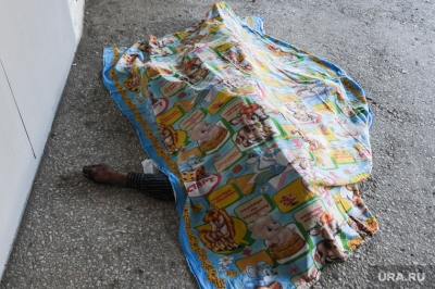 � ������������� ���� �������� � ������ ����� 84-������ �������