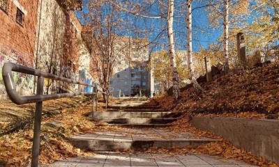 ������ �� ������� ������� � ������������� �����������