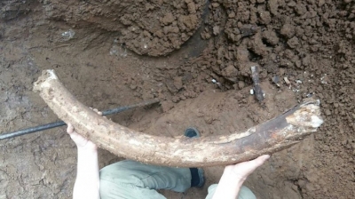 ������� ��������, ��� ������: �� ������ ������� ��� �������������� ����� ������ �������