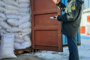 20 вагонов с сахаром, 2 вагона с зерном и 13 грузовиков с товарами вернули в Россию таможенники