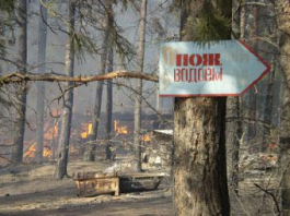 Александр Мишарин отчитался Виктору Зубкову о подготовке к пожароопасному сезону в области