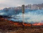 На майские праздники возрастет опасность возникновения лесных пожаров!