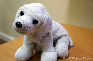 ����������� ��������� ��������� � �������