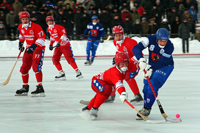 Турнир на призы федерации хоккея с мячом россии