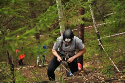 ���������� �������������� ����������� �������� ���� ������ 