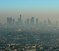 В деятельности ЗАО «Крытый рынок» выявлены нарушения в сфере охраны атмосферного воздуха