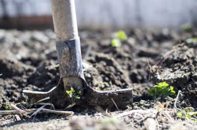 �������� ������� - ���������� ���