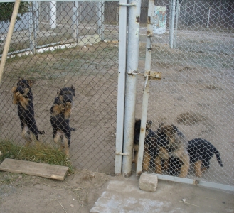 �� ������� ����� ������������ ������������� ������ ��� �������� �������