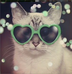  ���������� ���� � ����� ����� ������� ��������