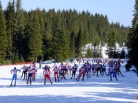 На Первенстве Свердловской области по лыжным гонкам первоуральцы заняли призовые места.