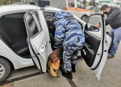 ������ ������������� ������ ����������� ���� �� ���� ���������� � ����� ������� ������� � ������������.