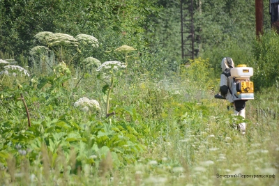 � ������������� ����������� ����� ���������