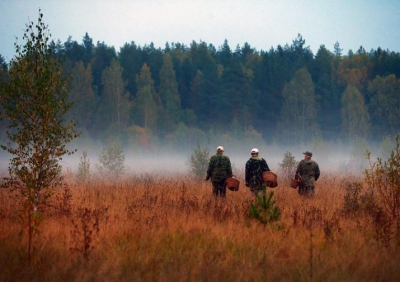 ������ ��������� � ��������� �� ����������� ��������� ����