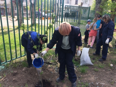 ���������� ����� � �������� ���� �������� ���������