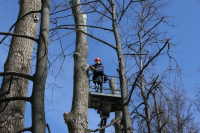 � ������������� �������� ������������� ������� �������