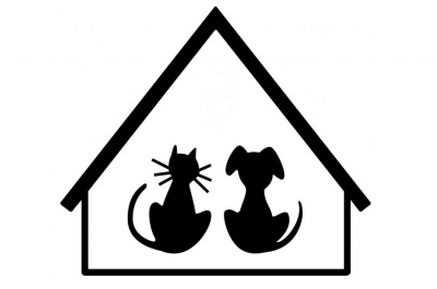 �������������� ������������ �������� ������������� �����