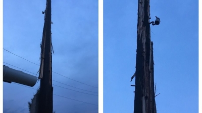 � ���������������� ������ � ����� �������� ����� ���