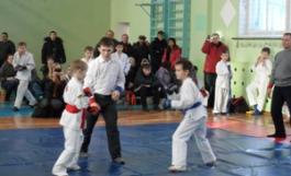 29 января в спортивном зале Первоуральского политехникума прошел открытый кубок Первоуральска по джиу-джитсу среди детей и юношей.