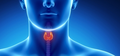 ���������� ������ � �� ��������! 