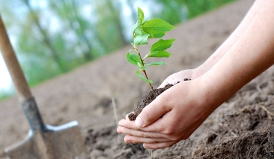 ������� �������� � ���� �����